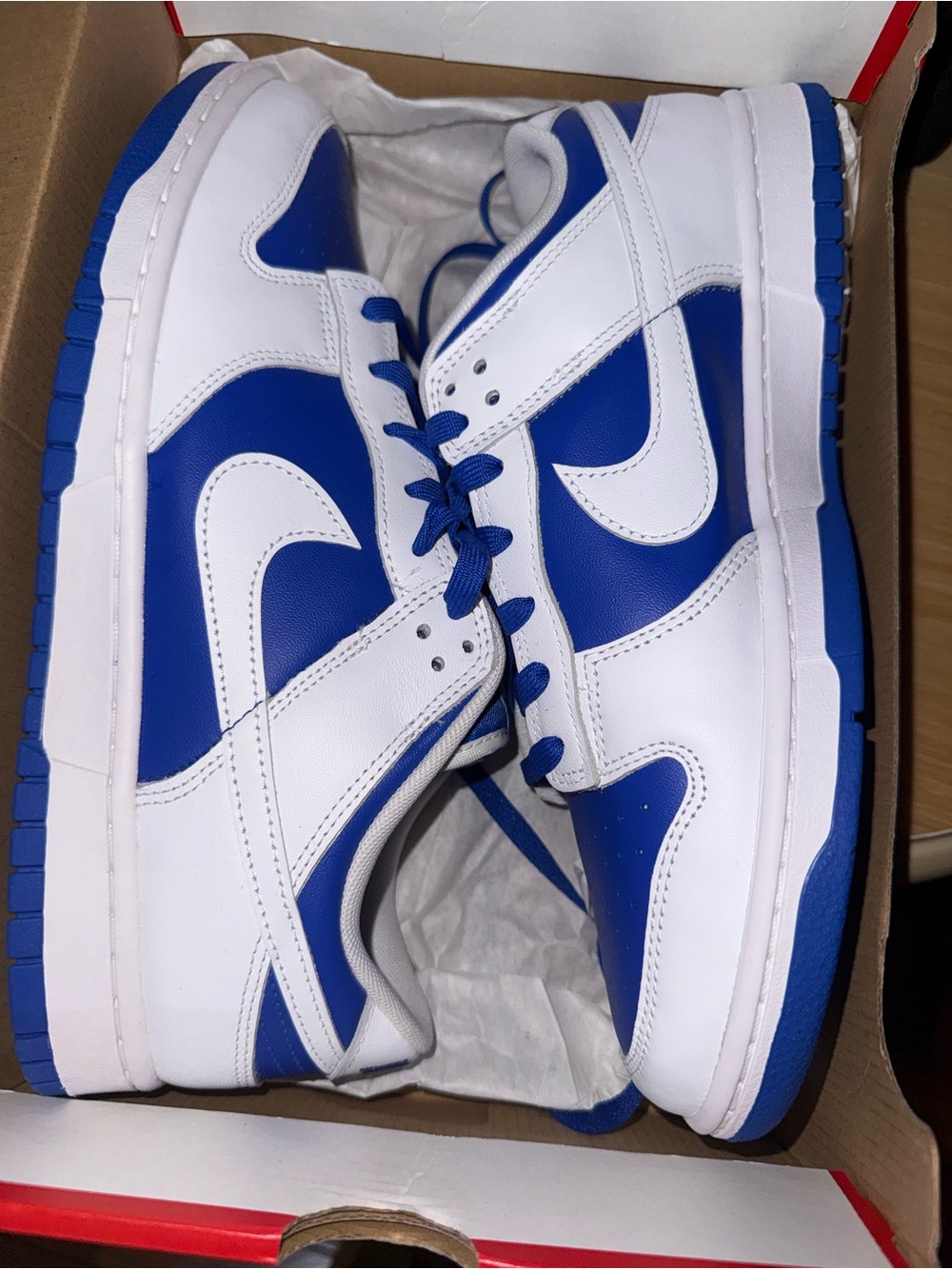 Nike Low-Top Sneakers in White and Blue